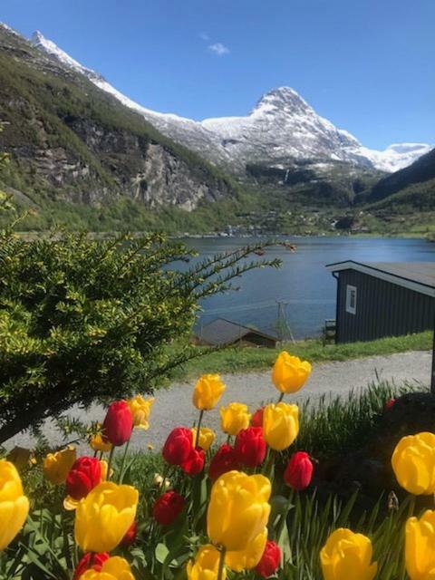 Solhaug Fjordcamping Villa Geiranger Esterno foto